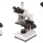 BS-2030-Biological-Microscope.jpg