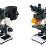 BS-2030F-Fluorescent-Biological-Microscope.jpg