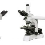 BS-2080MH-Multi-Head-Microscope.jpg