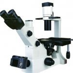 BS-2092-Inverted-Biological-Microscope.jpg