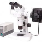 BS-3060F-Fluorescent-Stereo-Microscope.jpg