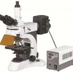 BS-7000A-Upright-Fluorescent-Biological-Microscope.jpg