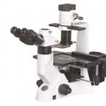 BS-7000B-Inverted-Fluorescent-Biological-Microscope.jpg