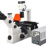 BS-7020-Inverted-Fluorescent-Biological-Microscope.jpg